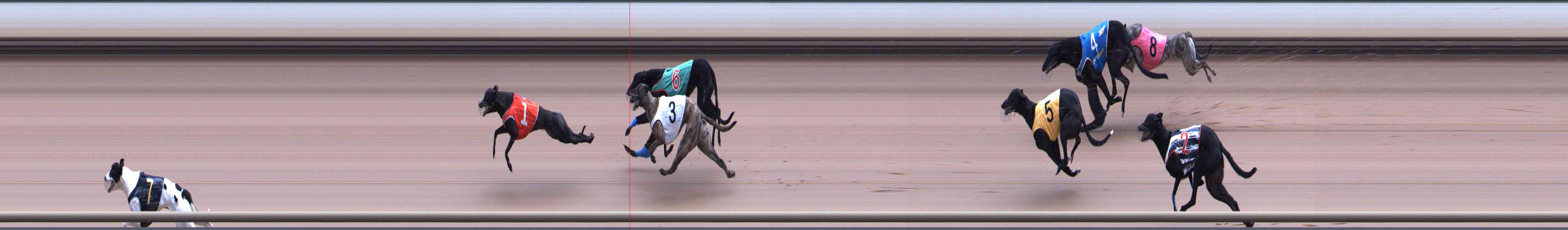 Race result finish photo